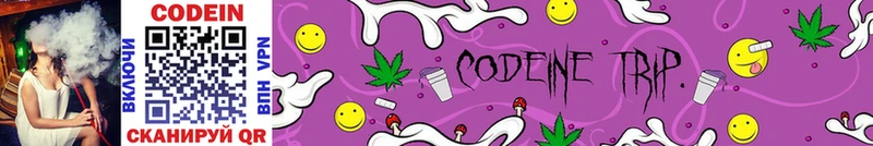 купить наркотики цена  Барабинск  Кодеин Purple Drank 