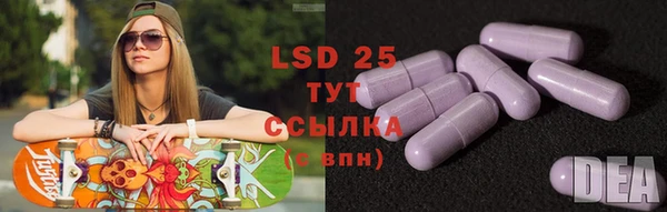 твердый Аркадак