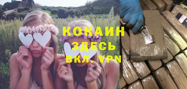 твердый Аркадак