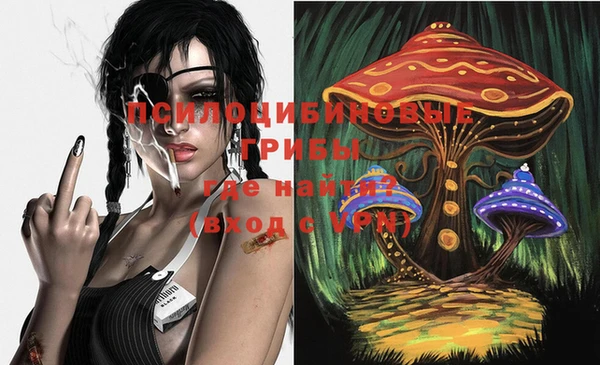 твердый Аркадак